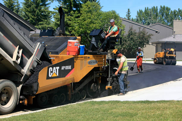 Best Concrete Paver Driveway  in Brownsville, TX